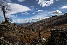 &eacute;glise romane de rougemont
