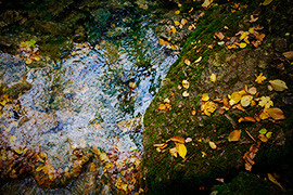 fen&ecirc;tre de chalet et &eacute;chelle